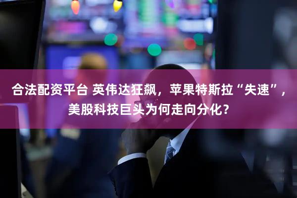 合法配资平台 英伟达狂飙，苹果特斯拉“失速”，美股科技巨头为何走向分化？