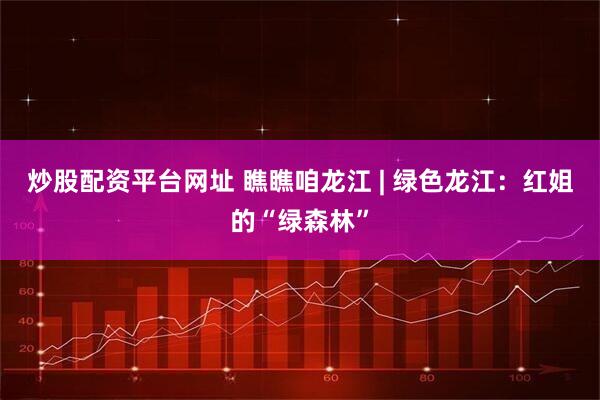 炒股配资平台网址 瞧瞧咱龙江 | 绿色龙江：红姐的“绿森林”